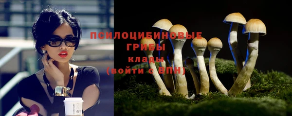 ешки Абинск