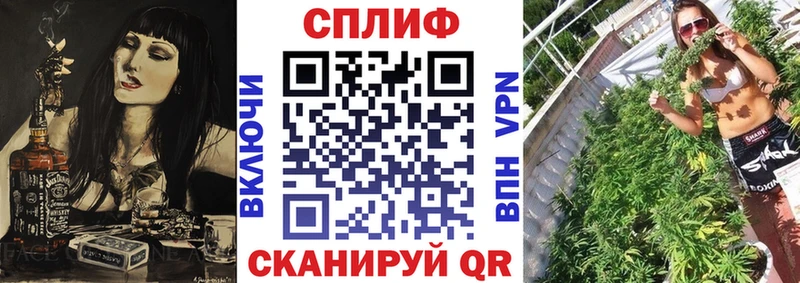 Бошки Шишки индика Костомукша